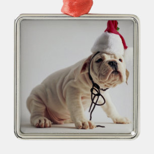 Ornamento De Metal Filhote de cachorro do buldogue que veste o chapé