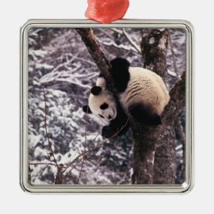 Ornamento De Metal Filhote de panda brincando em árvore coberta de ne