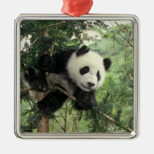 Ornamento De Metal Filhote de panda-gigante sobe em uma árvore, Vale