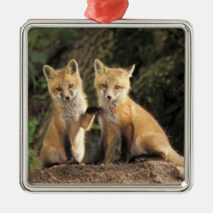 Ornamento De Metal filhote de Raposa Vermelha em frente à toca Vulpes