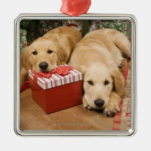 Ornamento De Metal Filhotes de cachorro do golden retriever com