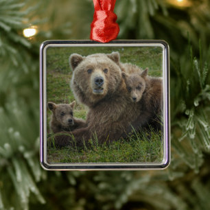 Ornamento De Metal Filhotes de Urso Pardo se Aconchegando com a Mãe