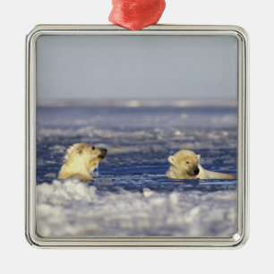 Ornamento De Metal Filhotes de urso polar brincando