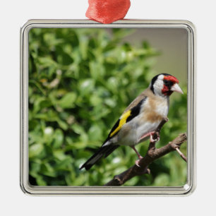 Ornamento De Metal FInch