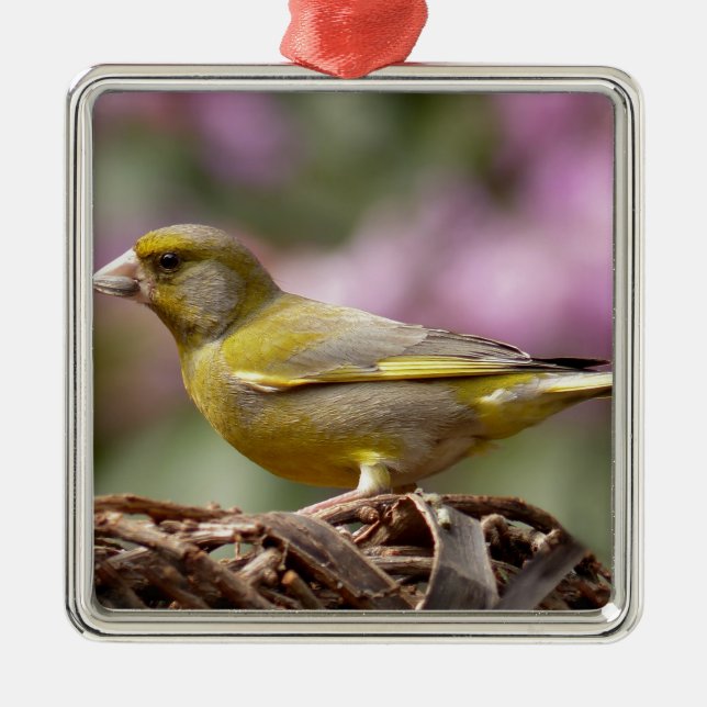 Ornamento De Metal Finch Verde (Frente)