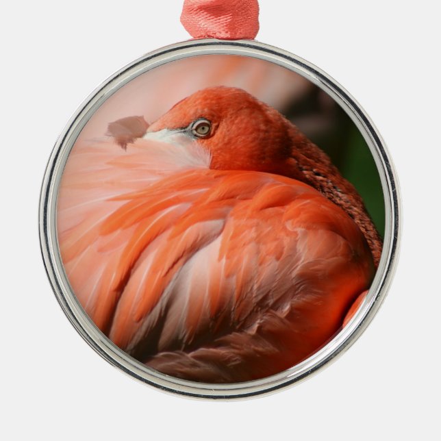 Ornamento De Metal Flamingo Ornament (Frente)