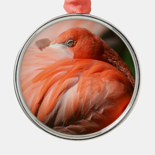 Ornamento De Metal Flamingo Ornament (Frente)