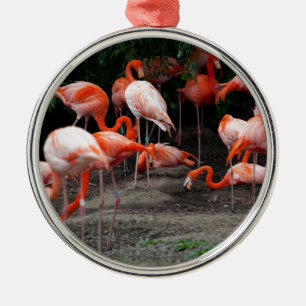 Ornamento De Metal Flamingos tropicais do destino dos pássaros da