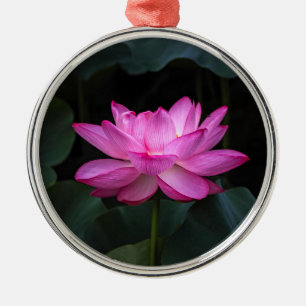 Ornamento De Metal Flor de Lotus