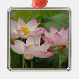 Ornamento De Metal Flor de lótus, Nelumbo nucifera, China 2