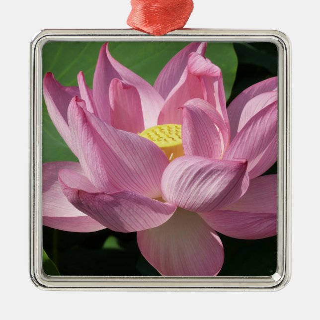 Ornamento De Metal Flor de Lotus Rosa IV (Frente)