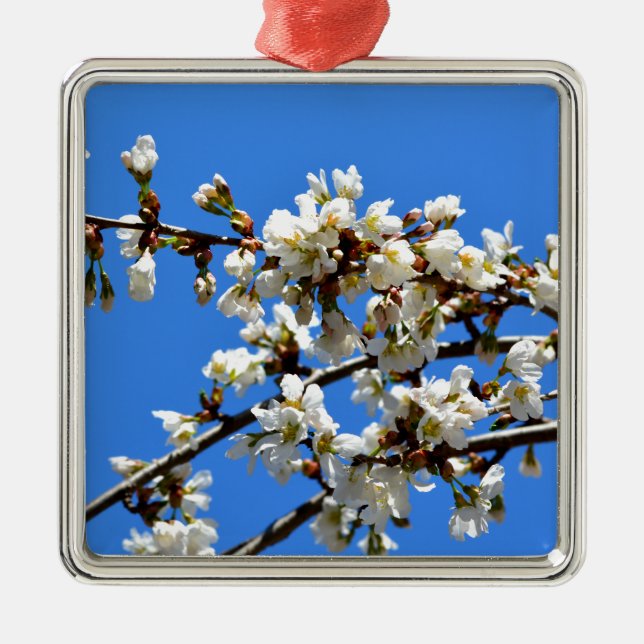 Ornamento De Metal Flor floral branco de primavera (Frente)