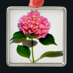 Ornamento De Metal Flor rosa, cor-de-rosa, hydrangea, cor-de-rosa<br><div class="desc">Bonito hidrangea rosa</div>