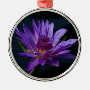 Ornamento De Metal Flor Waterlily do Lotus Roxo e Amarelo