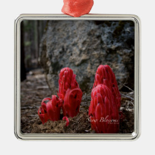 Ornamento De Metal Flores de Neve