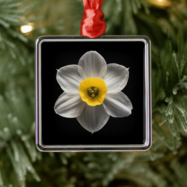 Ornamento De Metal Flores | Flor Branca De Daffodilo (Árvore)