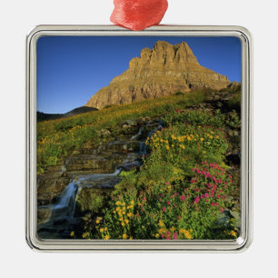 Ornamento De Metal Flores silvestres alpinas & Mt Clements em Logan P