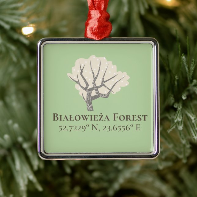 Ornamento De Metal Floresta Białowieża Latitude & Longitude (Árvore)