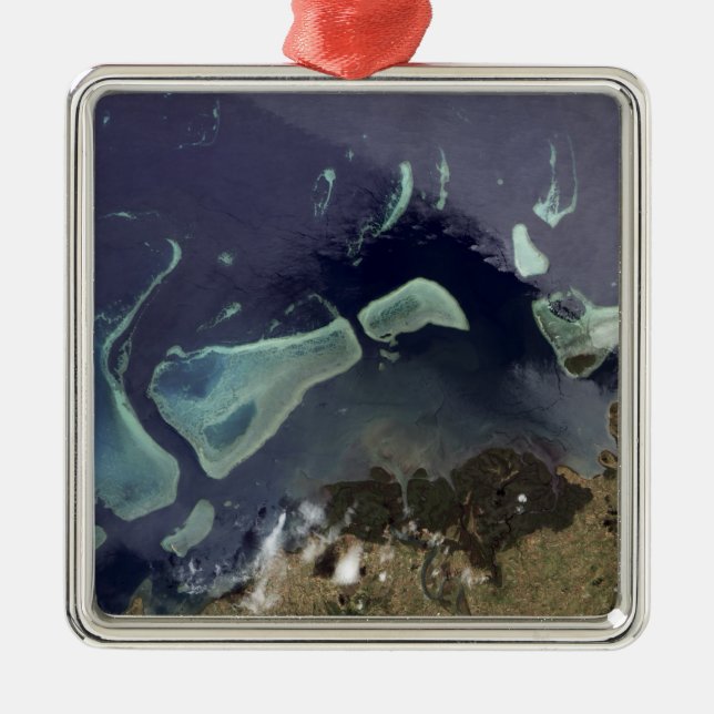 Ornamento De Metal Floresta verde profunda em terra (Frente)