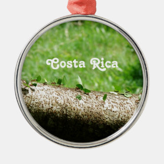 Ornamento De Metal Formigas do cortador da folha em Costa Rica