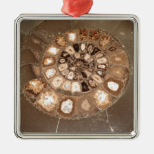 Ornamento De Metal Fóssil de amnite de Dactylioceras, com uma bela s