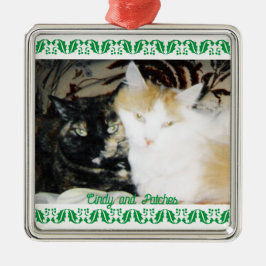 Ornamento De Metal Foto Cozy Dois Gatos com Nomes de Borda Holly Verd