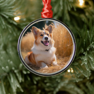 Ornamento De Metal Foto de animal de estimação personalizada