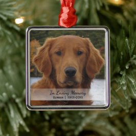 Ornamento De Metal Foto De Cachorro No Nome Da Memória Amante Ano De 