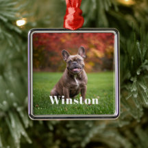 Foto de Férias de Nome de Pet Personalizado Modern