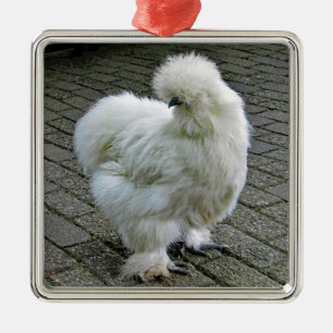 Ornamento De Metal Foto de frango branco Silkie