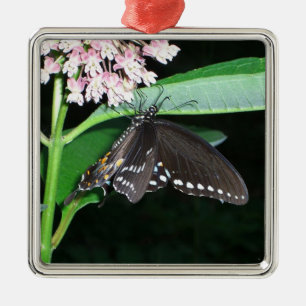 Ornamento De Metal Foto do Swallowtail Negro da Borboleta Noturna