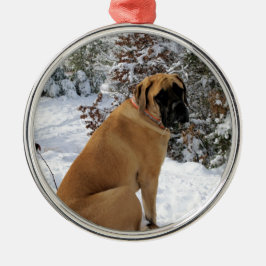 Ornamento De Metal Foto inglesa da pose neve" do cão do Mastiff da "