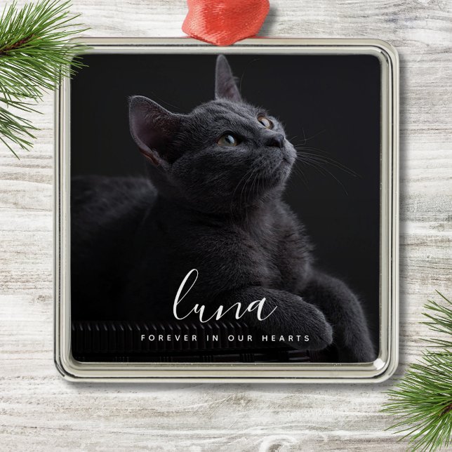 Ornamento De Metal Foto Memorial de Simpatia Pet (Pet Memorial Ornament)