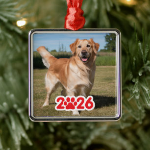 Ornamento De Metal Foto personalizada de 2026 Pet