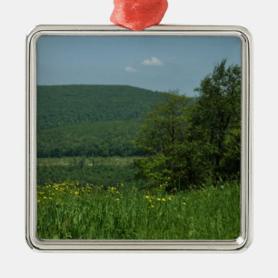 Ornamento De Metal Fotografia de Verão de Laurel Highlands Pensilvâni