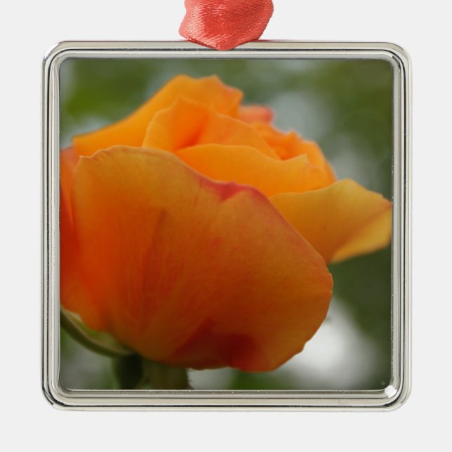 Ornamento De Metal Fotografia linda de rosa amarela. (Frente)