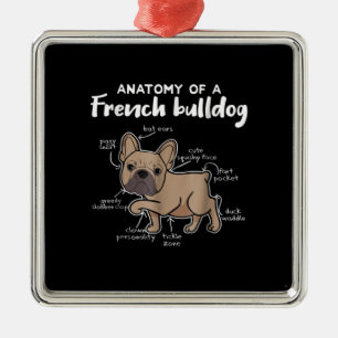 Ornamento De Metal Frenchie Gift Anatomy Of A French Bulldog Gift