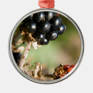 Ornamento De Metal Frutas do Outono