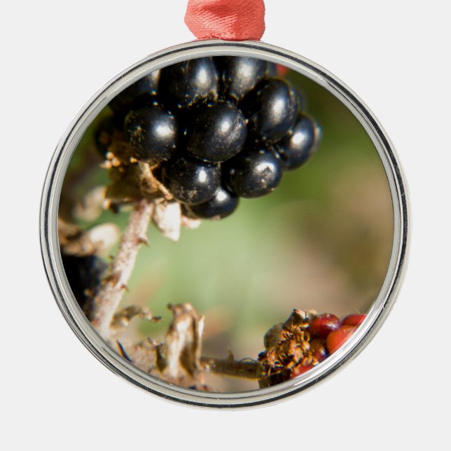 Ornamento De Metal Frutas do Outono (Frente)