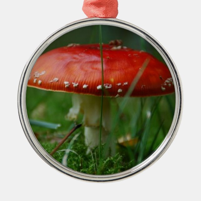 Ornamento De Metal Fungo de mosca (Frente)
