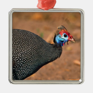 Ornamento De Metal Galinha-d'angola (Numida meleagris). África,
