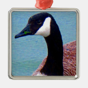 Ornamento De Metal Ganso Canadiano Selvagem