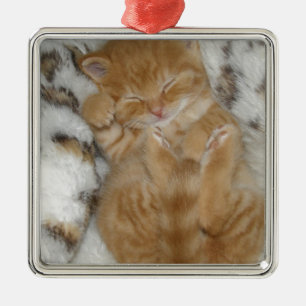 Ornamento De Metal Gatinho bonito super do sono do gengibre
