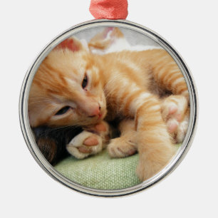 Ornamento De Metal Gatinho De Gelado De Tigre
