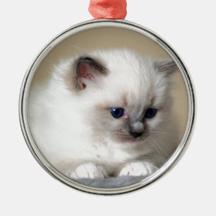 Ornamento De Metal Gatinho de Ragdoll