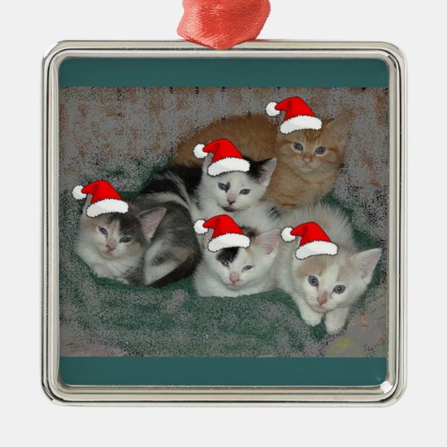 Ornamento De Metal Gatinhos de Natal (Frente)