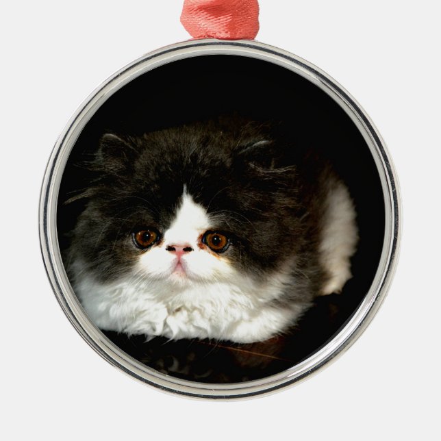 Ornamento De Metal Gato branco-preto-branco-bonito (Frente)