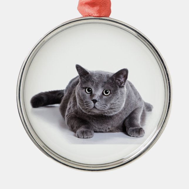 Ornamento De Metal Gato cinzento (Frente)