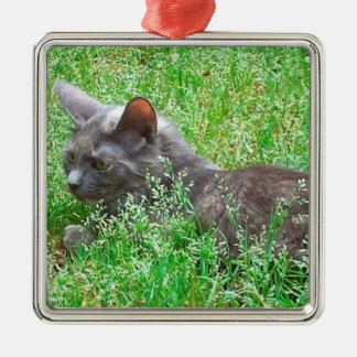Ornamento De Metal Gato cinzento de Tortie