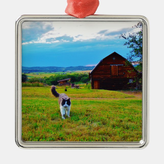 Ornamento De Metal Gato com Barns (Frente)